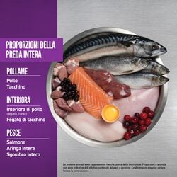null - Product thumbnail 3.0